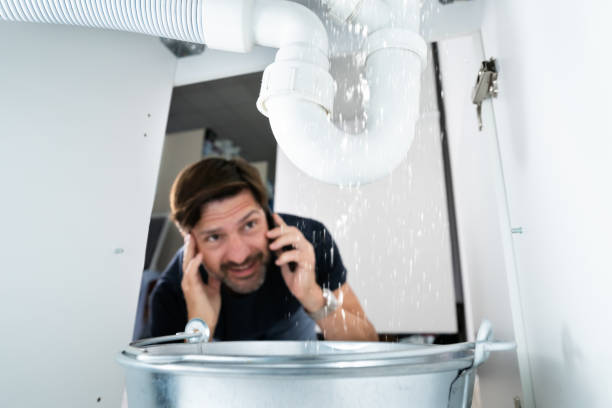 Best Plumbing Repair Near Me  in Scandia, MN