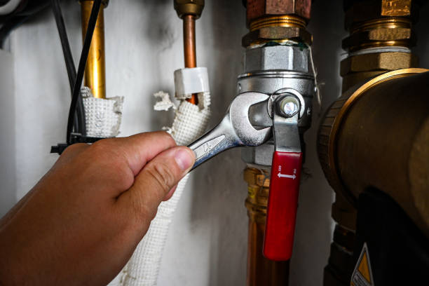 Best Clogged Drain Plumber  in Scandia, MN